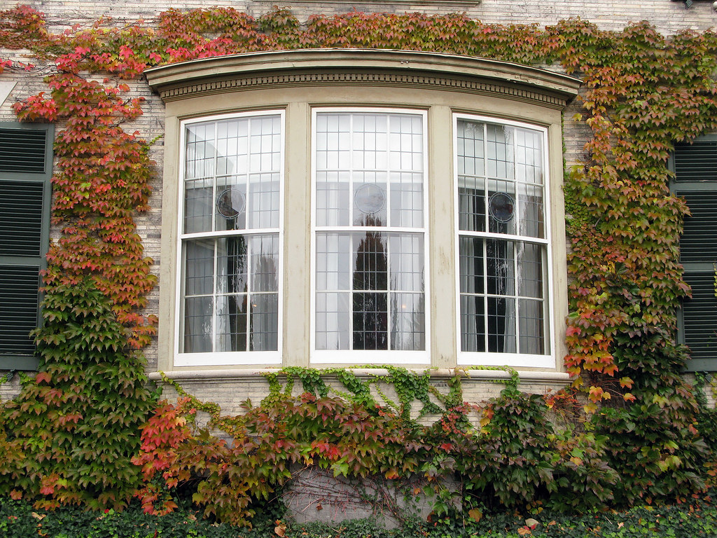 Bay Window Replacement Roscoe IL